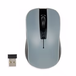 iBox LORIINI, Ambidextre, Optique, RF sans fil, 1600 DPI, Noir, Gris