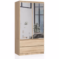 AKORD Furniture Factory SP0PSYSSONLUST, Chêne, Armoire, 4 étagères, 2 portes(s), Mat, Porte à charnière