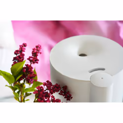 Blaupunkt AHA501 humidificateur Vapeur 4 L Blanc 24 W - Vue supplémentaire 4