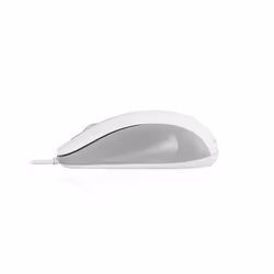 Modecom MC-M10S souris Ambidextre USB Type-A Optique 1000 DPI