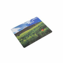 NATEC NPF-1403 tapis de souris Multicolore
