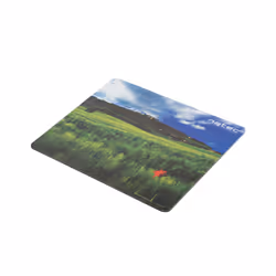 NATEC NPF-1403 tapis de souris Multicolore