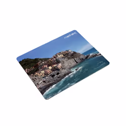 NATEC NPF-1404 tapis de souris Multicolore