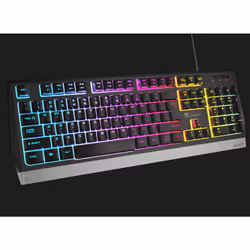 GENESIS RHOD 300 RGB clavier USB QWERTY Noir
