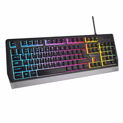 GENESIS RHOD 300 RGB clavier USB Noir