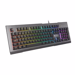 GENESIS Rhod 500 RGB, Taille réelle (100 %), USB, Clavier à membrane, QWERTY, LED RGB, Noir, Argent