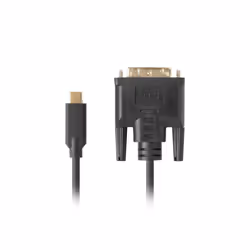 Lanberg CA-CMDV-10CU-0030-BK câble vidéo et adaptateur 3 m USB Type-C DVI-D Noir