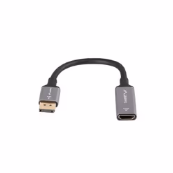 Lanberg AD-DP-HD-04 câble vidéo et adaptateur 0,2 m DisplayPort HDMI Argent, Noir