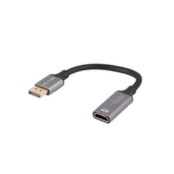 Lanberg AD-DP-HD-02 câble vidéo et adaptateur 0,2 m DisplayPort HDMI Argent