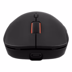 GENESIS Zircon XIII souris Ambidextre RF Wireless + USB Type-C Optique 26000 DPI