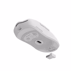 GENESIS Zircon 500 souris Droitier RF Wireless + Bluetooth + USB Type-C Optique 10000 DPI