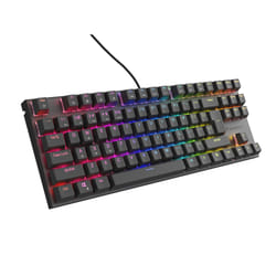 GENESIS Thor 303 TKL clavier Jouer USB QWERTY Espagnole Noir