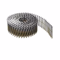 Pointes en rouleau FAC 2.5x50 annelés - BOSTITCH - Boite de 9900 - F250R50Q