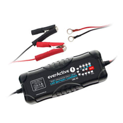 Everactive CBC-10 Chargeur de batterie pour véhicules 12-24 V Noir