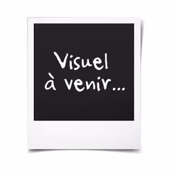 Meuble haut 1 porte battante - Décor chene sonoma - L 40 x P 31,6 x 72 cm - LASSEN