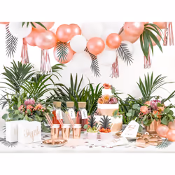 PartyDeco TPP36-019R Ustensile jetable Assiette