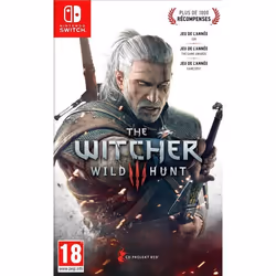 The Witcher 3 Wild Hunt Nintendo Switch