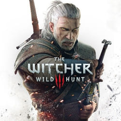BANDAI NAMCO Entertainment The Witcher 3: Wild Hunt Standard Espagnol Nintendo Switch
