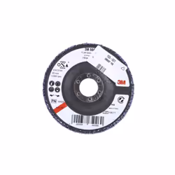 Type de disque = Disque à lamelles Matériau abrasif = Aluminium oxyde de zirconium Taille de l'alésage = 22mm grain = P60 Gra ...