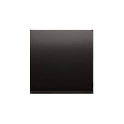 Kontakt-Simon DP/48 Accessoire de boîtier de sortie Anthracite 1 pièce(s)