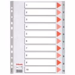 Esselte 100105, 225 mm, 297 mm