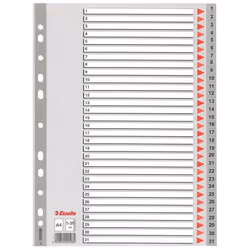 Esselte Plastic indexes, 225 mm, 297 mm