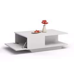 Topeshop DENVER BIEL Table à café, latérale et de salon Table basse Forme libre 1 pieds