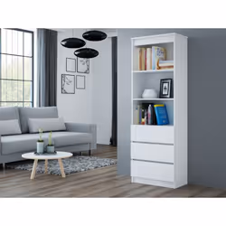 Topeshop RS-60 OLIMP BIEL bibliothèque de bureau