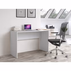 Topeshop BIURKO PLUS BIEL bureau d'ordinateur Blanc