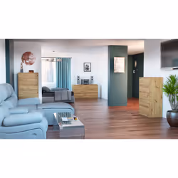 Topeshop K120 ARTISAN 2X3 Commode