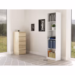 Topeshop R50 BIEL bibliothèque de bureau