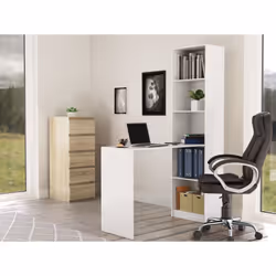 Topeshop R50 BIEL Z BIURKIEM bureau d'ordinateur Blanc