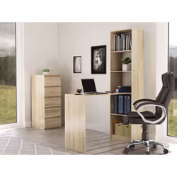 Topeshop R50 SON Z BIURKIEM bureau d'ordinateur Couleur chêne