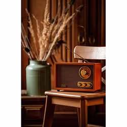 Adler AD 1171 Radio portable Marron - Vue supplémentaire 12