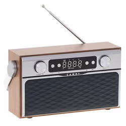 Camry Premium Radio CR 1183 Portable Numérique Aluminium, Noir, Bois
