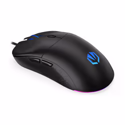 ENDORFY GEM Plus souris Droitier USB Type-C Optique 19000 DPI