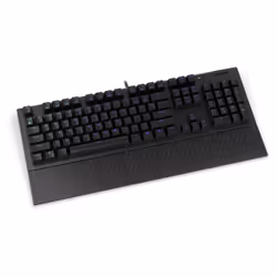 ENDORFY Omnis clavier USB QWERTY Noir
