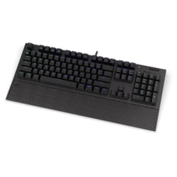 ENDORFY Omnis clavier USB QWERTY Noir