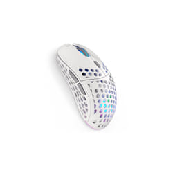 ENDORFY LIX OWH Wireless EY6A010 souris Ambidextre RF Wireless + USB Type-C Optique 16000 DPI