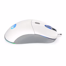 ENDORFY GEM souris Ambidextre USB Type-C Optique 8000 DPI - Vue supplémentaire 11