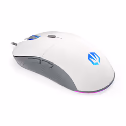 ENDORFY GEM souris Ambidextre USB Type-C Optique 8000 DPI