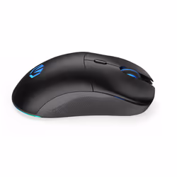 ENDORFY GEM Plus Wireless souris Ambidextre RF Wireless + USB Type-C Optique 26000 DPI - Vue supplémentaire 12
