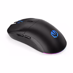 ENDORFY GEM Plus Wireless souris Ambidextre RF Wireless + USB Type-C Optique 26000 DPI