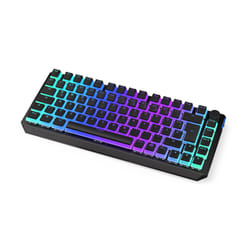 ENDORFY Thock 75% clavier FR sans fil +USB QWERTZ Allemand Noir