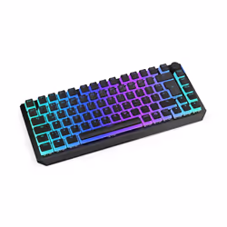 ENDORFY Thock 75% clavier FR sans fil +USB QWERTZ Allemand Noir