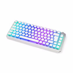 ENDORFY Thock 75%, Avec fil &sans fil, FR sans fil +USB, Clavier mécanique, QWERTZ, LED RGB, Blanc