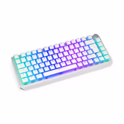 ENDORFY Thock 75% clavier FR sans fil +USB QWERTZ Allemand Blanc
