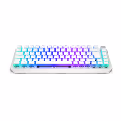 ENDORFY Thock 75% clavier FR sans fil +USB QWERTZ Allemand Blanc