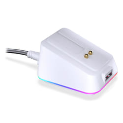 ENDORFY EY0F002 souris Maison Ambidextre RF Wireless + USB Type-A