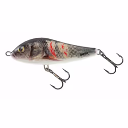 Leurre Salmo RC11F 21g